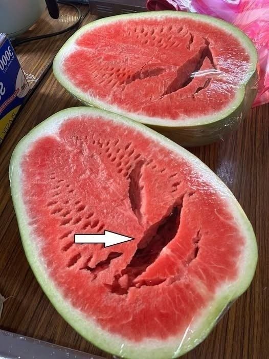 I Cut Open a Watermelon and Found Something Unbelievable Inside